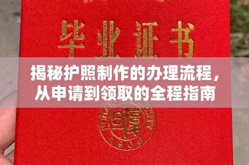 平果揭秘护照制作的办理流程，从申请到领取的全程指南